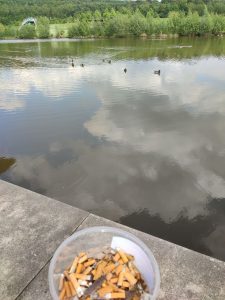 IMG_20240505_184945_774