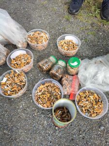 IMG_20240505_184946_032