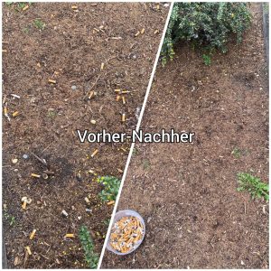 IMG_20240506_190801_332