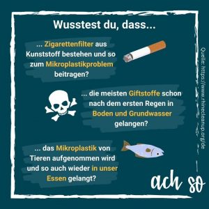 Rheinkippen_achso (2)