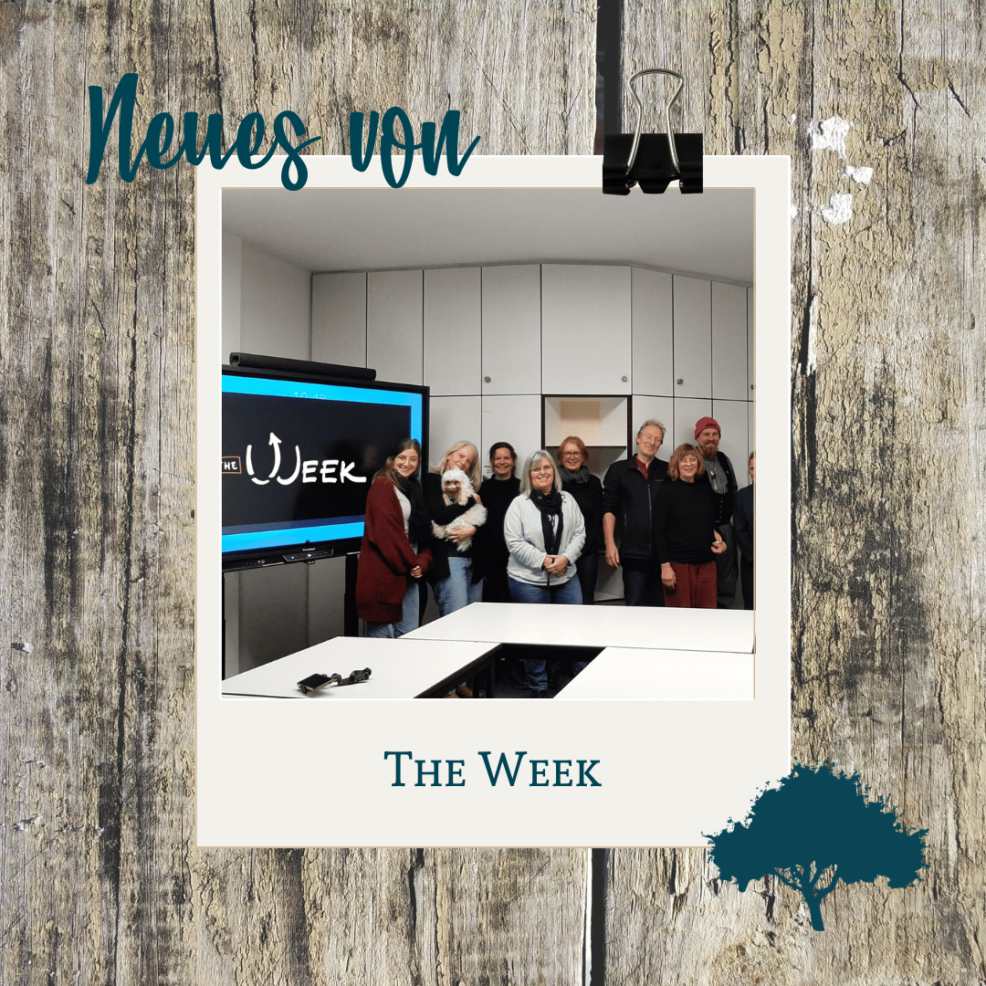 3_20250115_100732_0002