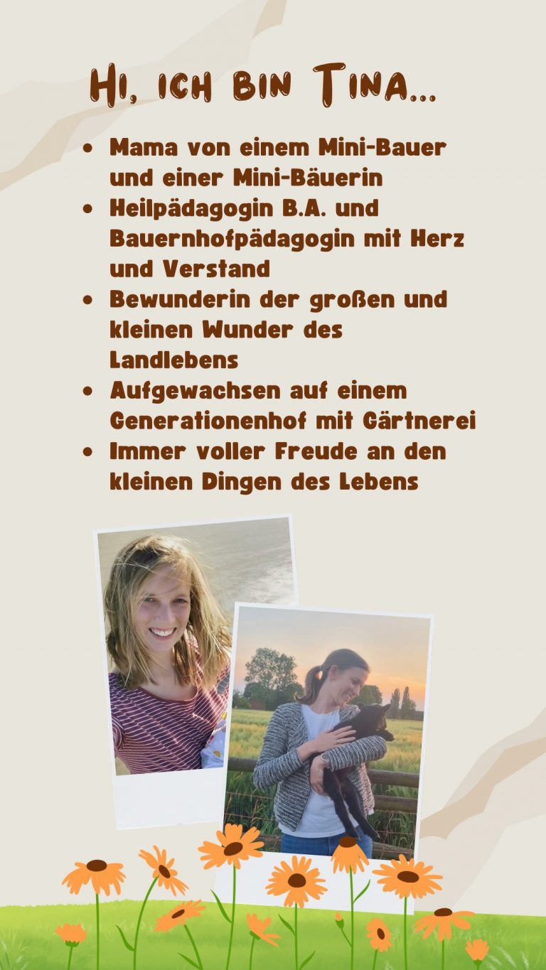 WhatsApp Werbung - 2