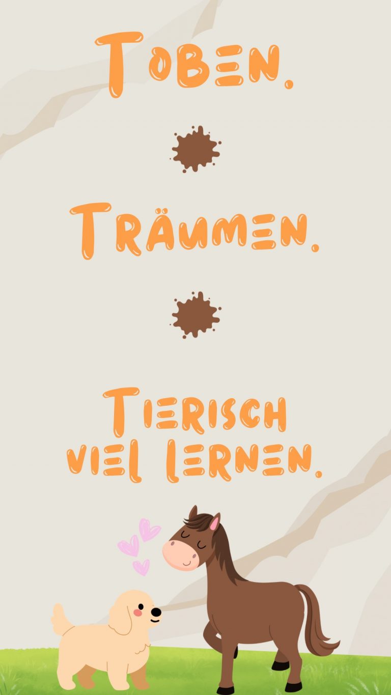 matsch und Möhre Titelbild