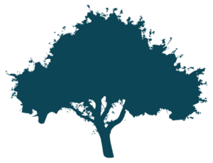 Baum in Petrol vom Logo