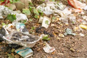 09.08.2025_TenderCleanUp_DennisHoeren (60)