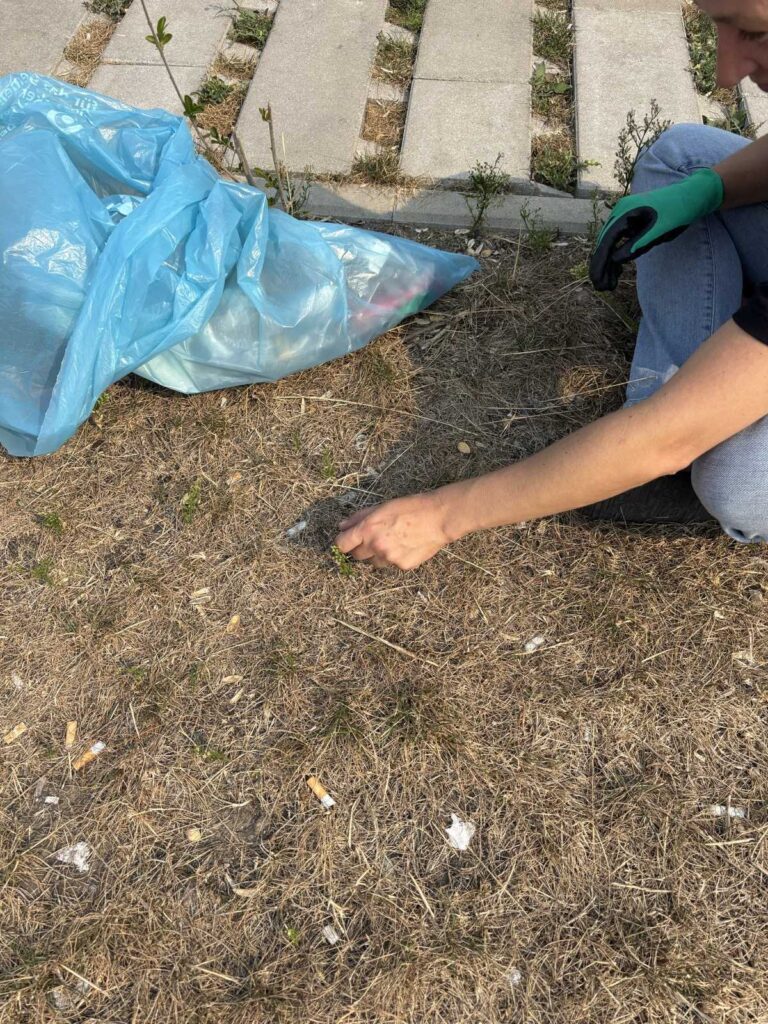 Eine Person hebt Zigarettenstummel mit den Fingern vom Boden auf